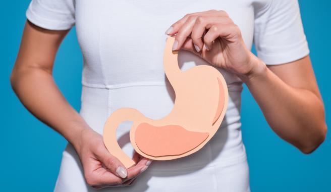 角度|一个人的胃真会被越撑越大,越饿越小吗?从科学的角度来给你答案