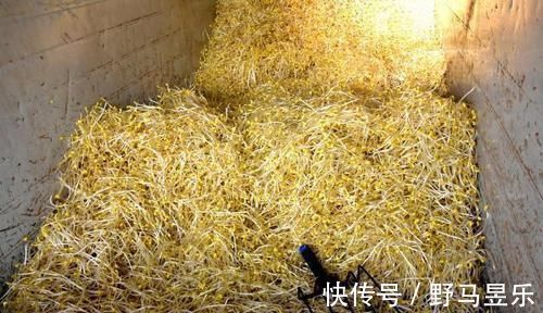 忌口|中年人养生先忌口,尽量少吃以下蔬菜和水果,身体会感谢你