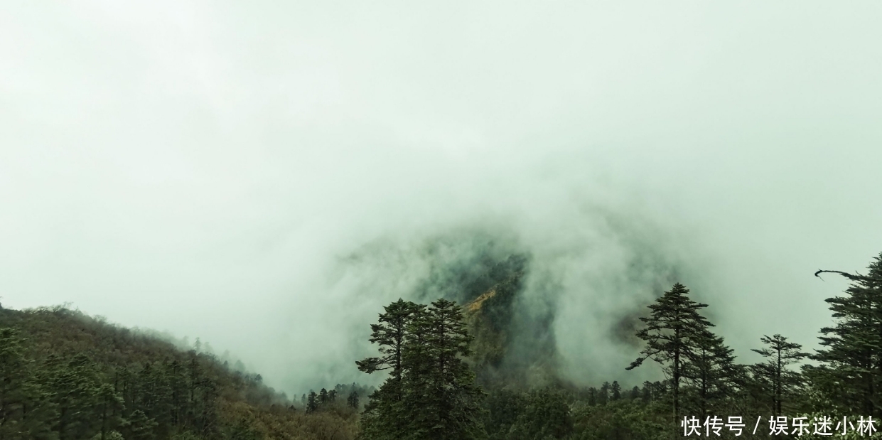 土象星座|处女座：纵使千人千面，但向来活得清醒，眼眸有星辰，心中有山海