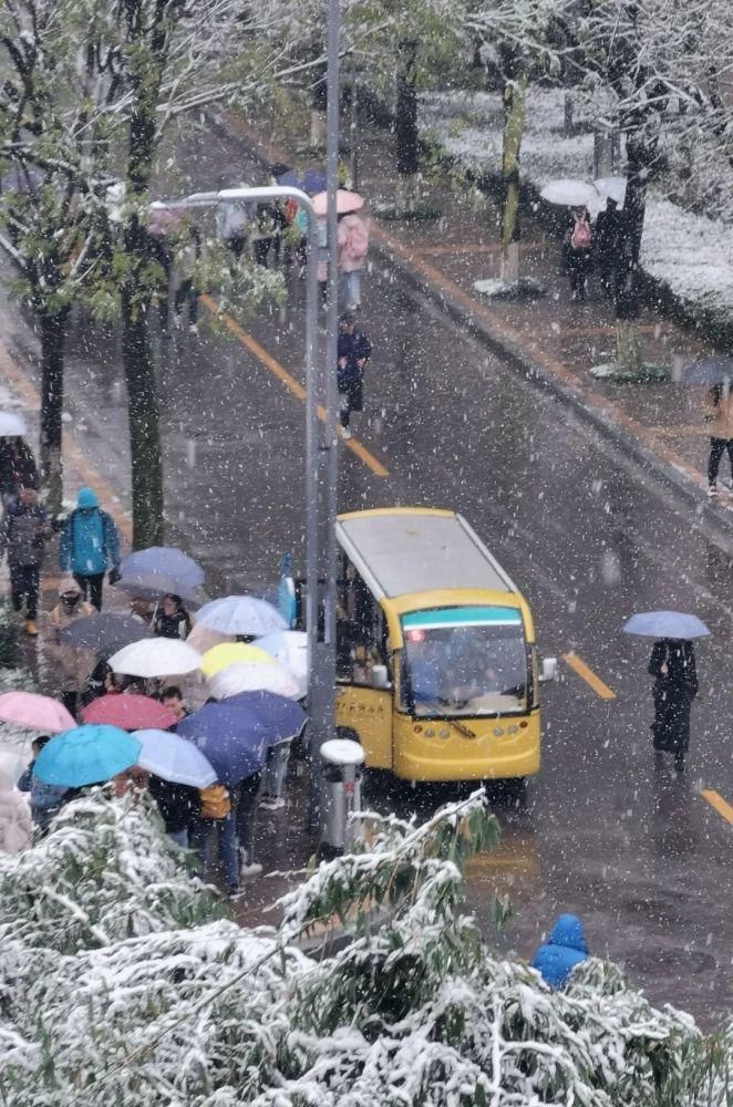 公众号|今日份心动！师大初雪2?2?