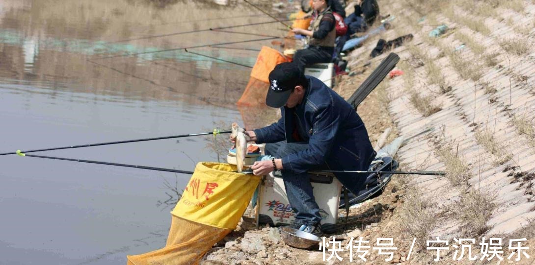 胆子|老钓手钓鲫鱼的“偏方”，亲自试了下，差点没把一条河的鲫鱼钓光