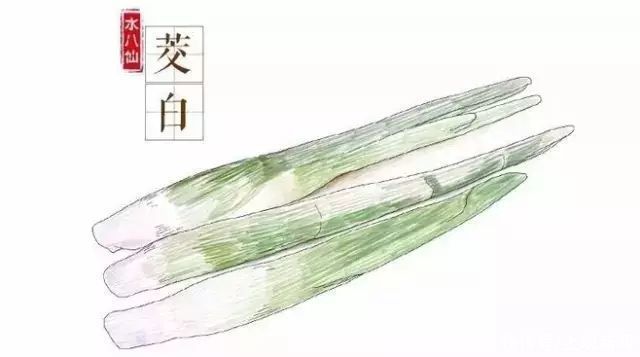 不溶性|蔬菜界的“水中参”，吃它好处多