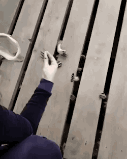 |搞笑GIF趣图:妈妈说,男孩子的房间要简单一点,没毛病啊!