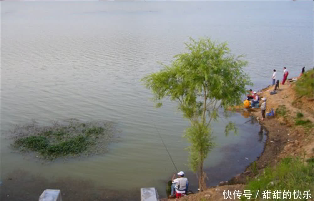 春季钓浅滩,这些浅滩才是春钓的主战场,这里下竿不愁钓不到鱼!