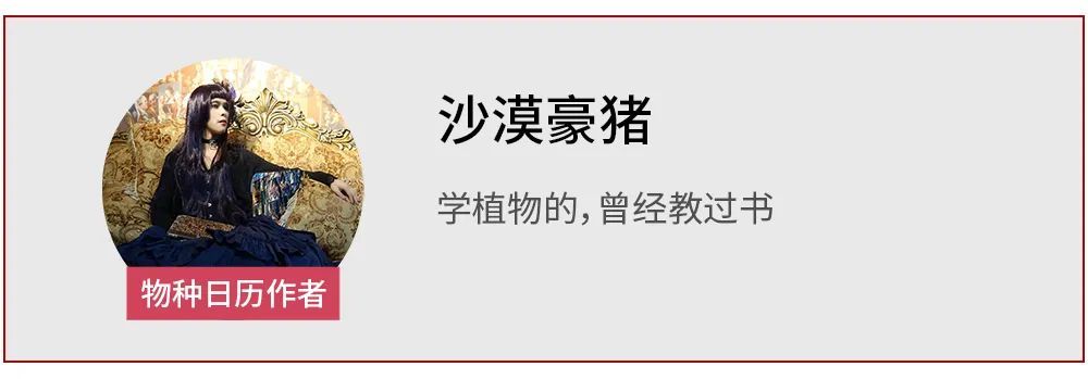 赵匡胤|龙袍之所以是黄的，主要还是因为皇帝太任性