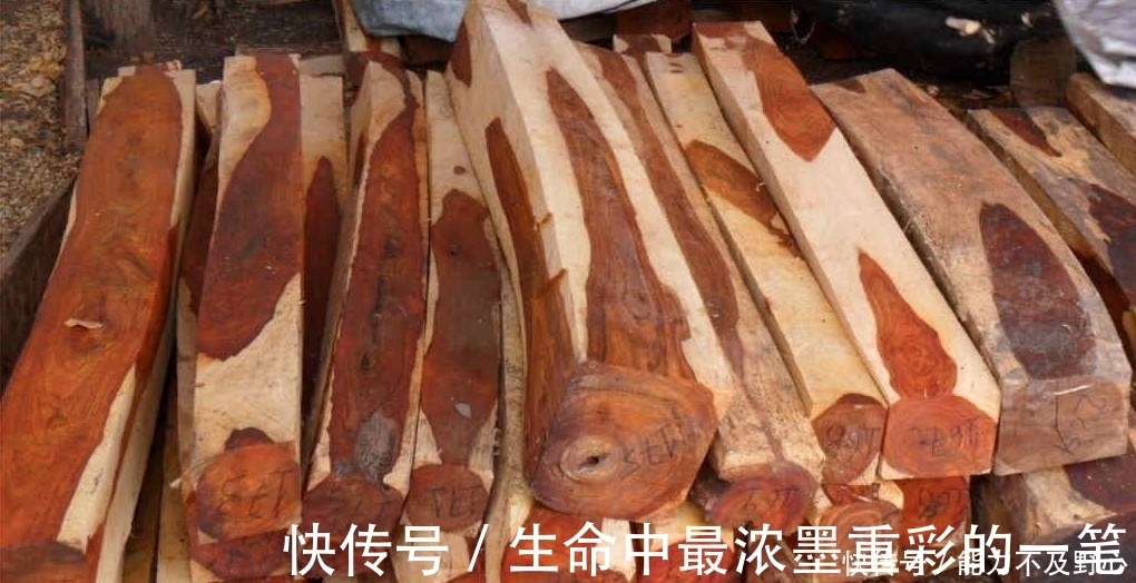 黄檀木|最贵的木材1公斤要上万元,不识货拿它当柴烧,快看看家中有没有