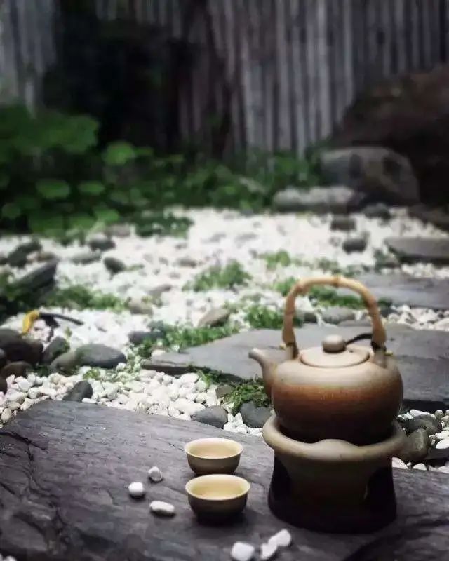 禅茶#品茶，听雨