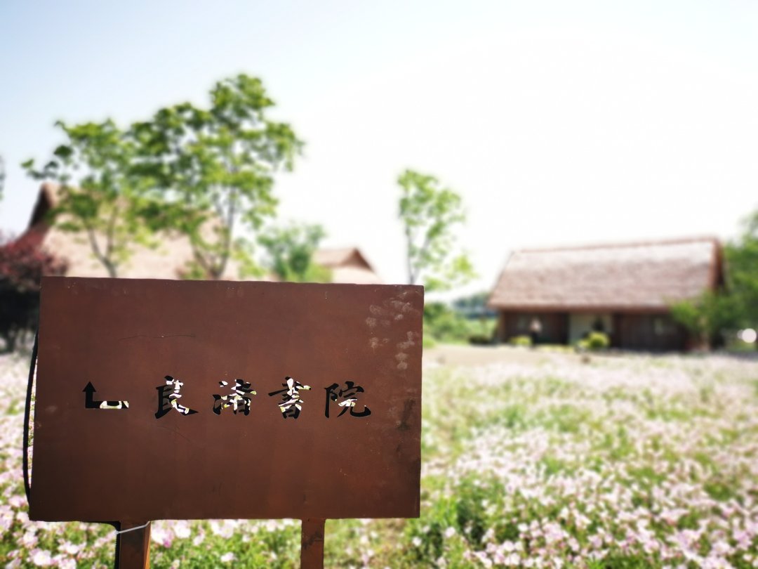 蓝染|超美！月见草盛放雉山，妆点这片五千多年文明圣地