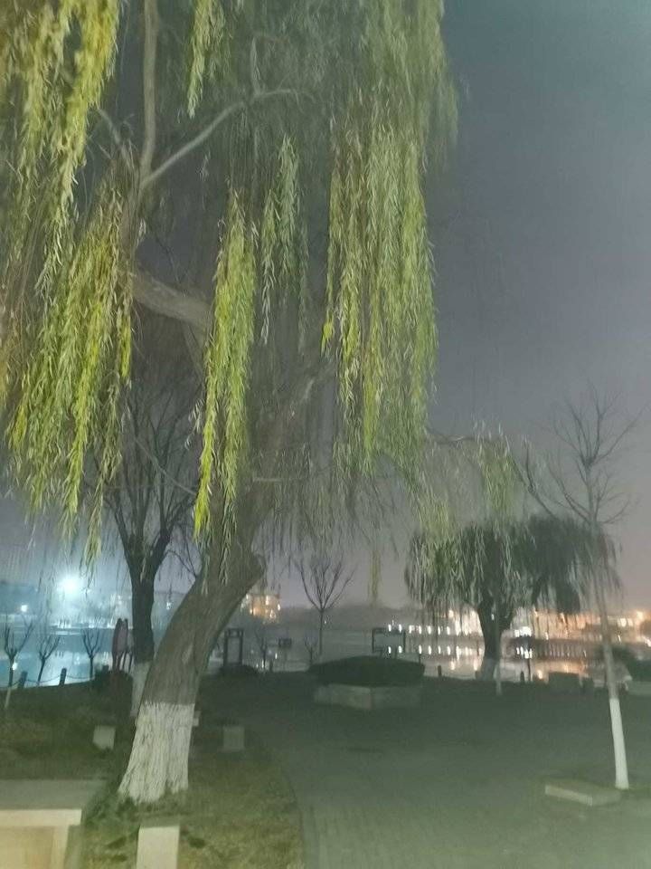 心理|生命与健康｜长寿来自于“心理长期保持平衡”