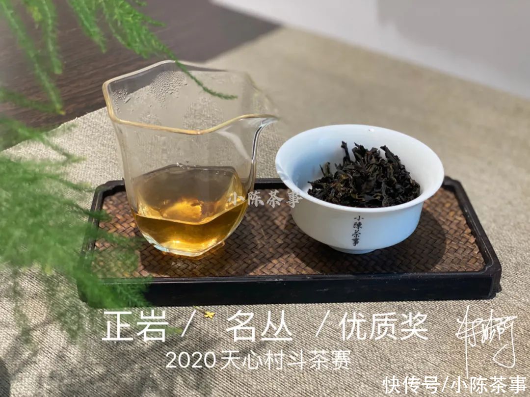  岩茶|一口气喝到正岩茶村的名丛金、银、优质获奖茶，是什么样的体验？