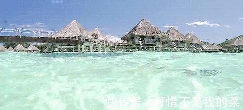 保湿|面霜不一定非要买贵的,3款口碑不错的经典国货,款款好用价不高!