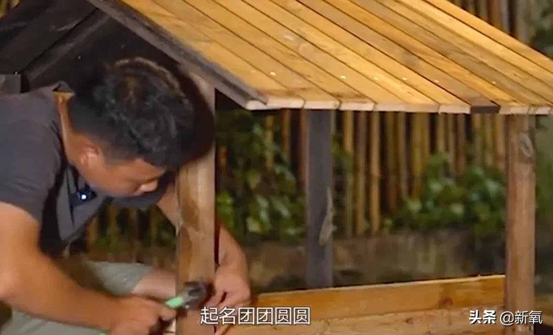 前有李子柒，后有閑不住的阿俊