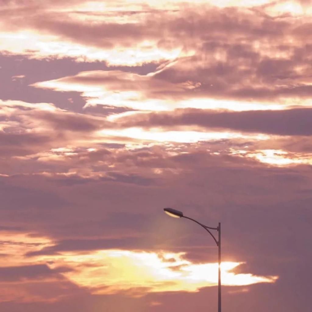漫山遍野|你是盛开着的，漫山遍野的温柔