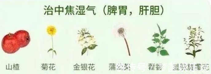 偏方|从医40年老中医,19条私藏偏方被公开!个个都有效!却极少人知道