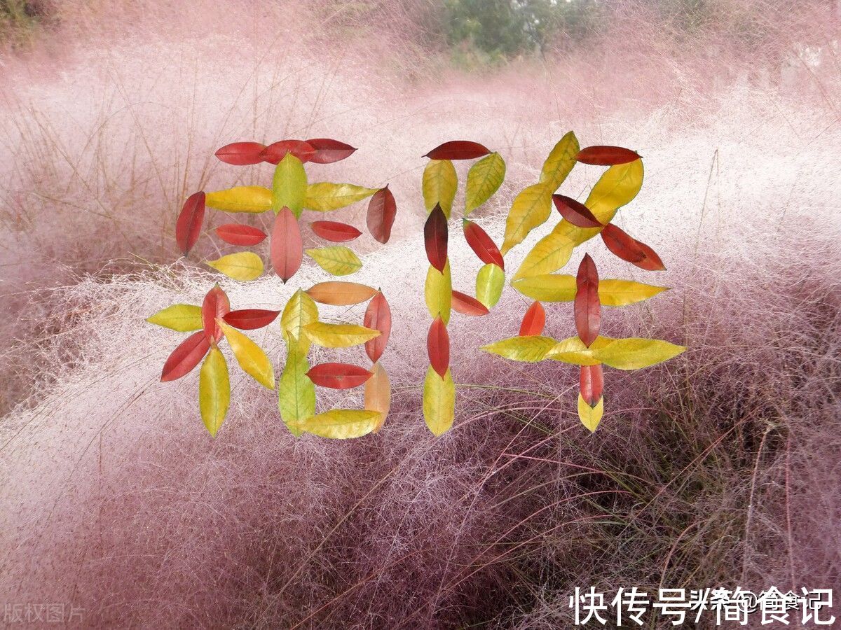 多喝|明天霜降,记得“吃3宝,喝3水,忌3样”,全家人安稳度深秋