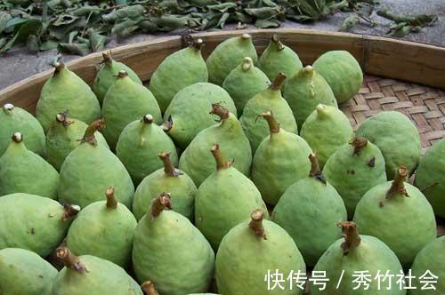 长在树上的“天然果冻”,山里小孩最爱吃,有谁认识吗