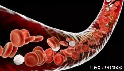 苦荞|洋葱靠边站，它才是血管“清洁工”，血管干净，血栓“躲着走”