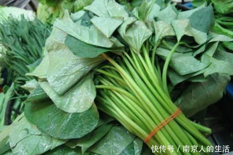 红薯叶为何一炒就黑,原来是少放了此物,难怪又黑口感又不好