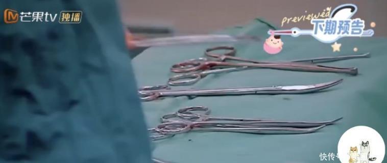 收视|千万报酬吸引陈小春,两夫妇为综艺效果和收视,公开产子过程