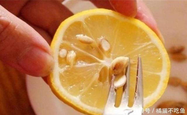 这3种水果那么贵,吃完籽别扔,丢水里泡7天,一个月盆栽大变样