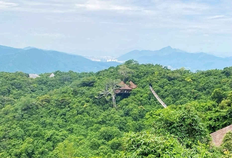 不一样的热带雨林，不一样的美丽风景——游亚龙湾热带天堂森林公园