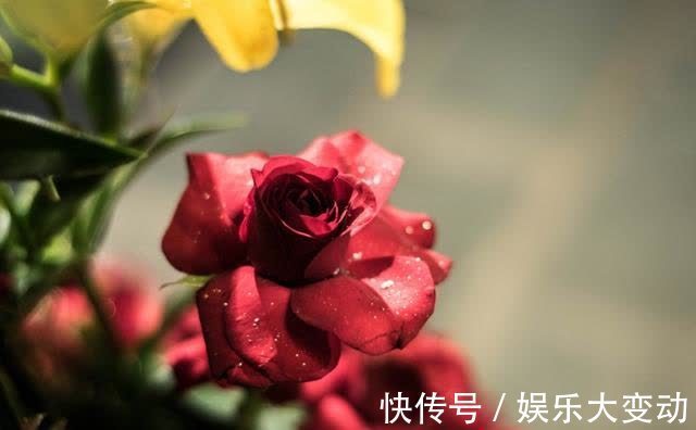 8月中旬开始，桃花“坐”家中，财运一路高升，福如东海