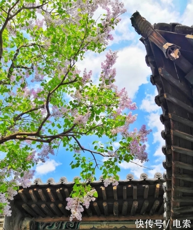 飞檐|飞檐:古建屋角上绝美的灵动