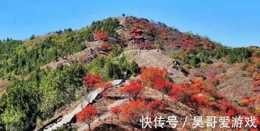 山区|北京最美秋景之：五彩大杨山