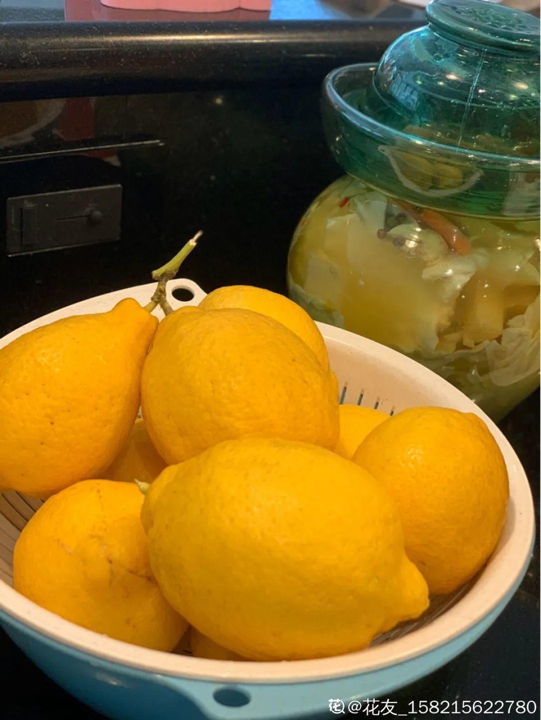 玉米棒子插盆里,7天冒出小森林,比绿萝吊兰好看