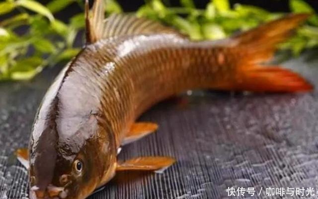 舌尖上的河南之新乡封丘来了!