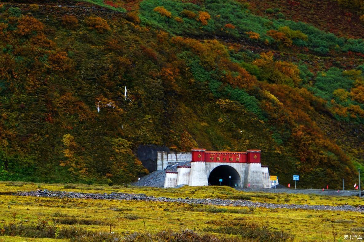 独自自驾游 欣赏最美的岗云杉林 体验环藏之旅的慢生活