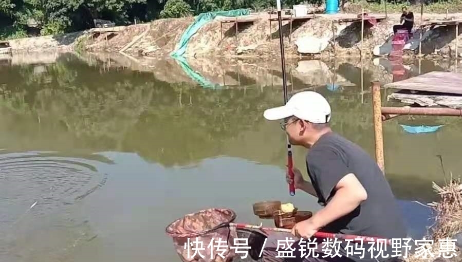 杂鱼|明明黑了漂，扬竿却总没鱼，果断换用这调整方案，鱼情好到没话说
