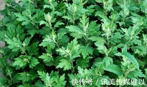 颈椎|这几个动作最伤颈椎，不要做了，3个小妙招祝你脱离颈椎病！