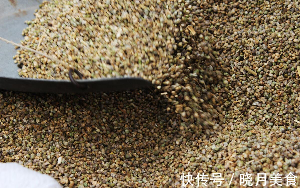 秋菠菜如何种?五句老话可作参考,因这5句老话是秋菠菜播种5要素