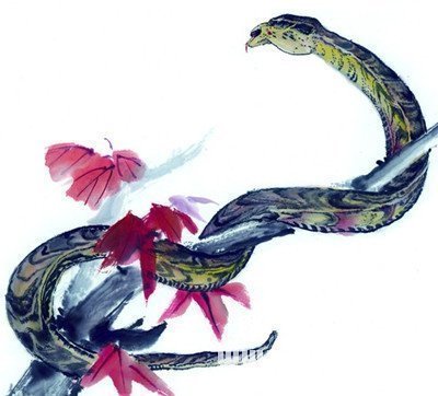 生肖|老人说,丈夫是此4生肖,重感情,有志气,嫁给他一生最有福气