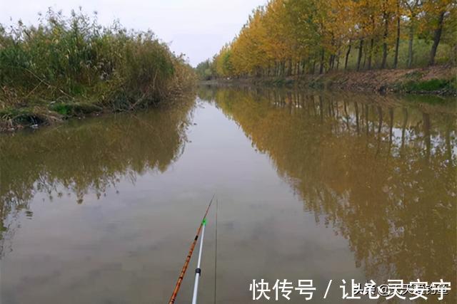 气温|冬季钓鱼，远离这三种钓位，避开这三种天气，天气再冷也有好收获