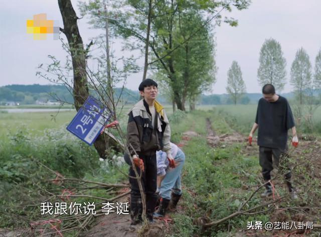 《向往的生活5》出現(xiàn)最煩人嘉賓,何炅不留情面,黃磊難掩嫌棄