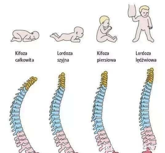 枕头|这两样宝宝用品,孩子一岁之前基本用不上,孕妈别着急买哦