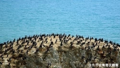 我国最“牛气”的湖泊，别的湖水都是越来越少，它却一跃成为第一