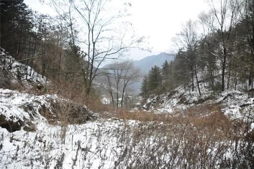 老寿星|闷顿岭山神庙里供着老寿星，碗口粗的泉眼边上，到处是冰柱悬挂