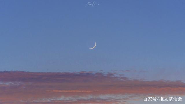 以后少吃鱼$推文茶话会|男主是醋王的文推荐 强推《以后少吃鱼》真的好看