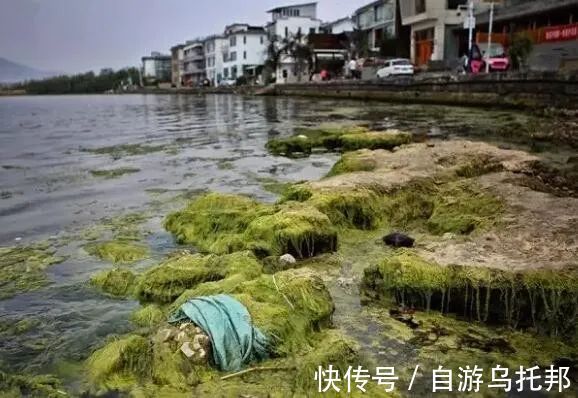 洱海|北京民宿全部下架，背后的真相让人震惊...