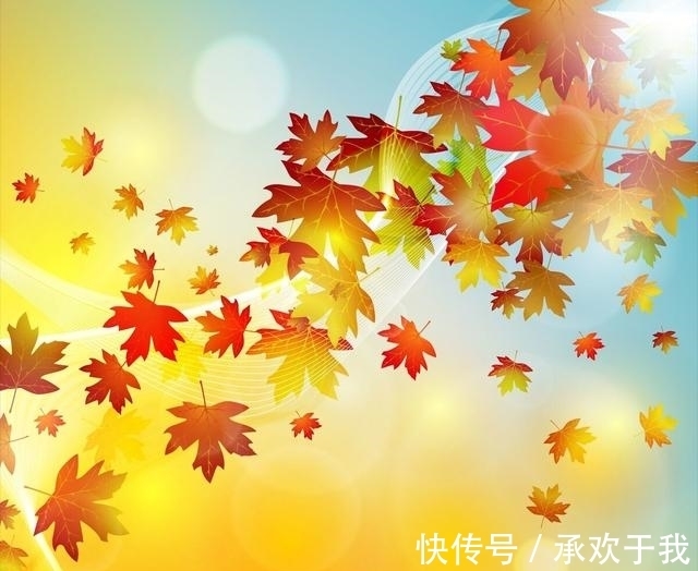 锦霞&千山暮雪无言叙,独客西风入梦游。浅秋寄语