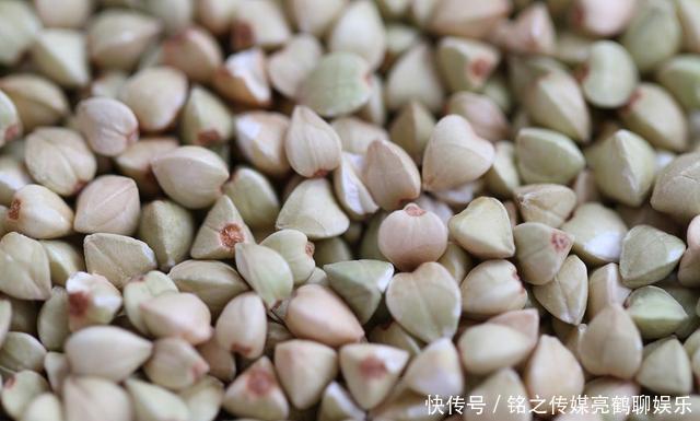 燕麦|减肥最狠的“主食”公布,玉米排名垫底,若你爱吃,体重蹭蹭降