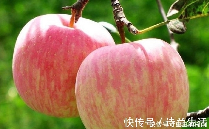 水果|糖尿病不能吃水果？营养师：以下3种水果，让血糖悄悄降