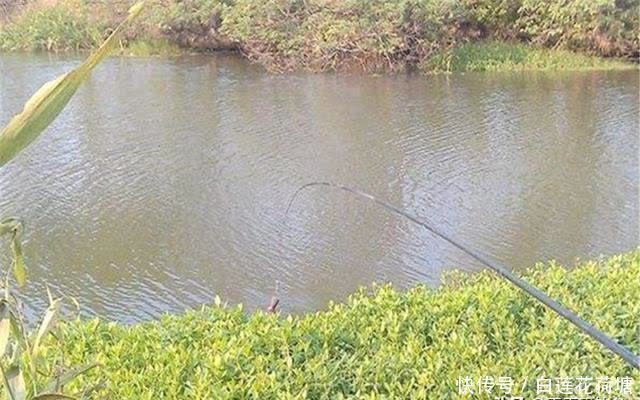 位置|夏季野钓选钓位:哪些位置有鱼未必准确,不过这些位置一定没鱼