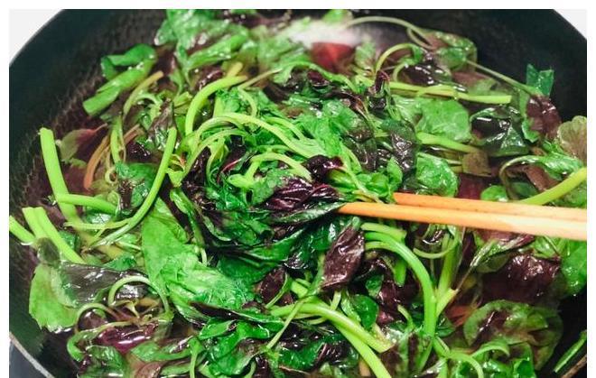 答案|同样是苋菜,红色和绿色哪个好?老菜农告诉你答案,以后别瞎买了