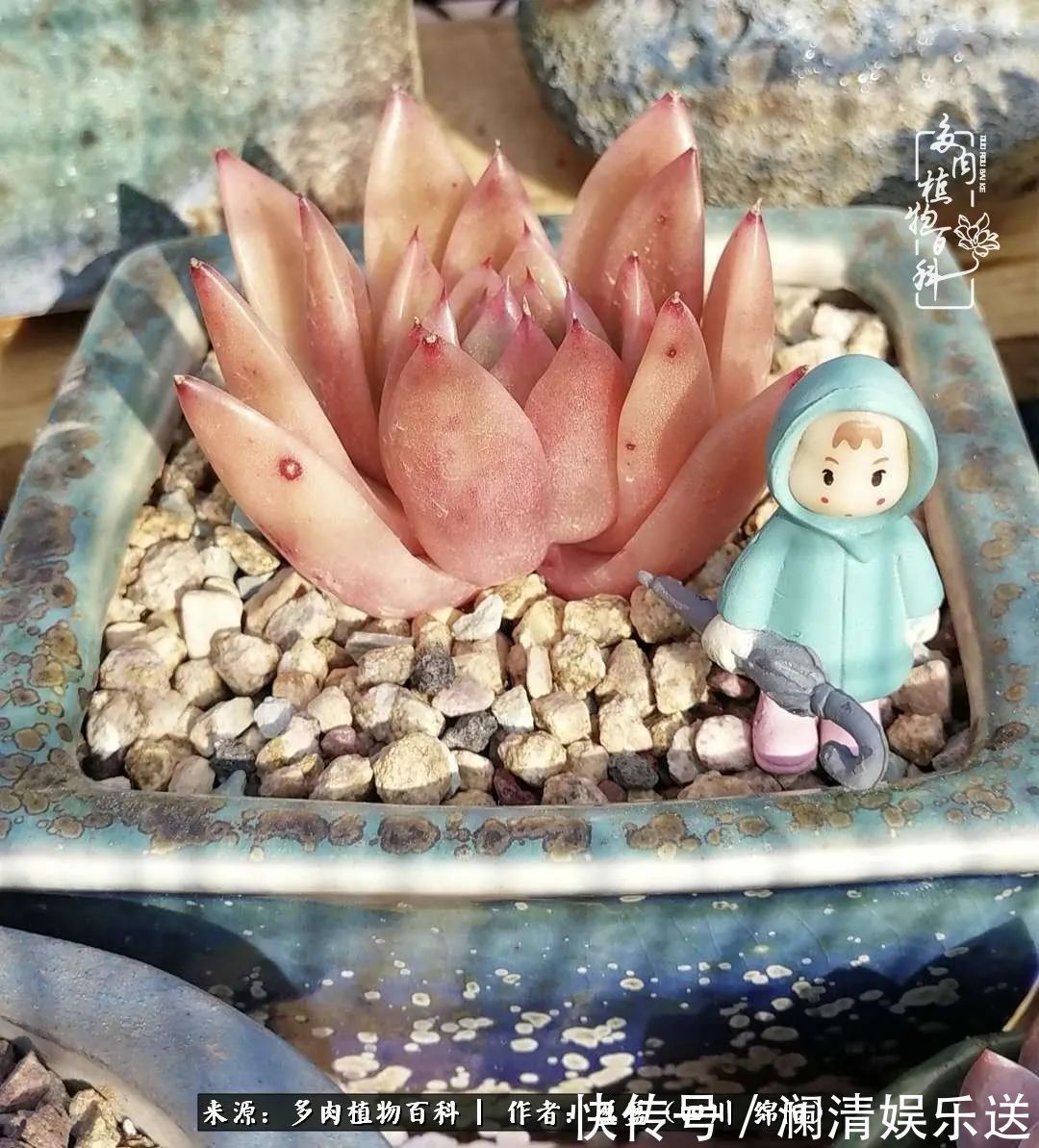 一定要爱着点什么，恰是草木对光阴的柔情！