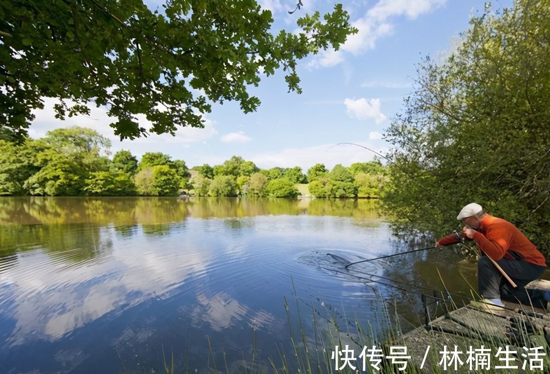 垂钓|钓鱼调漂技巧!浮漂调漂别搞得太复杂,一看就会调漂方法!
