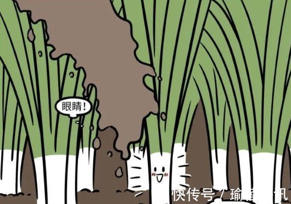 九尾狐|非人哉或将进入新篇章?九月妹子转世重生,这次居然连动物都不是